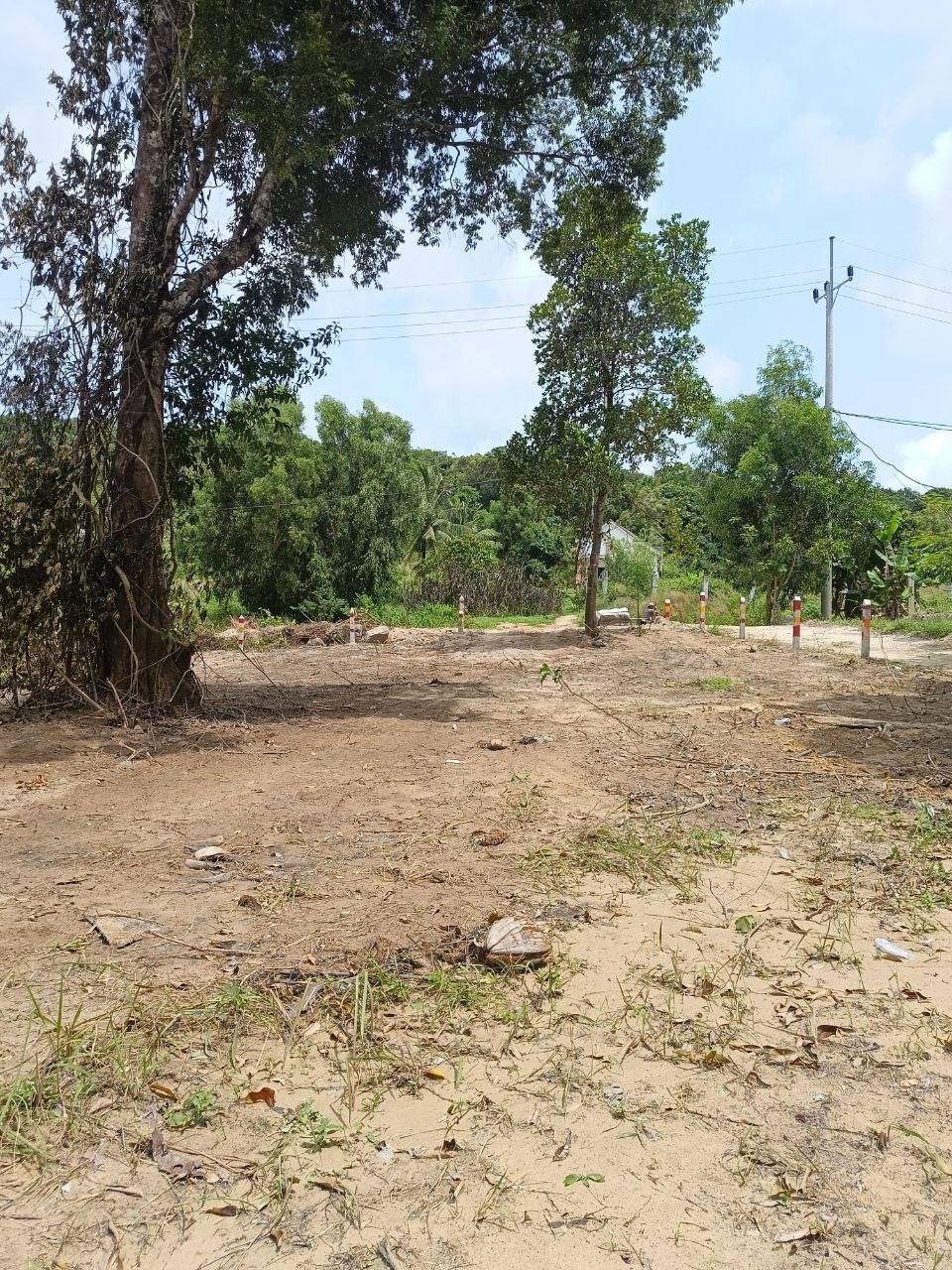 Land Plot on Coconut Beach Road — photo 2