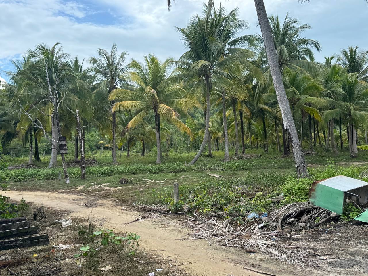 Hilltop Land Lease — Palm Beach — photo 3