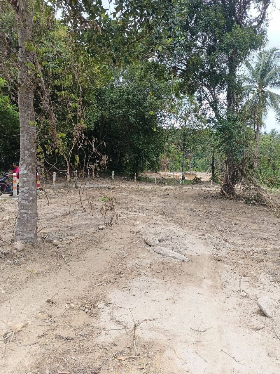 Land Plot on Coconut Beach Road — photo 3