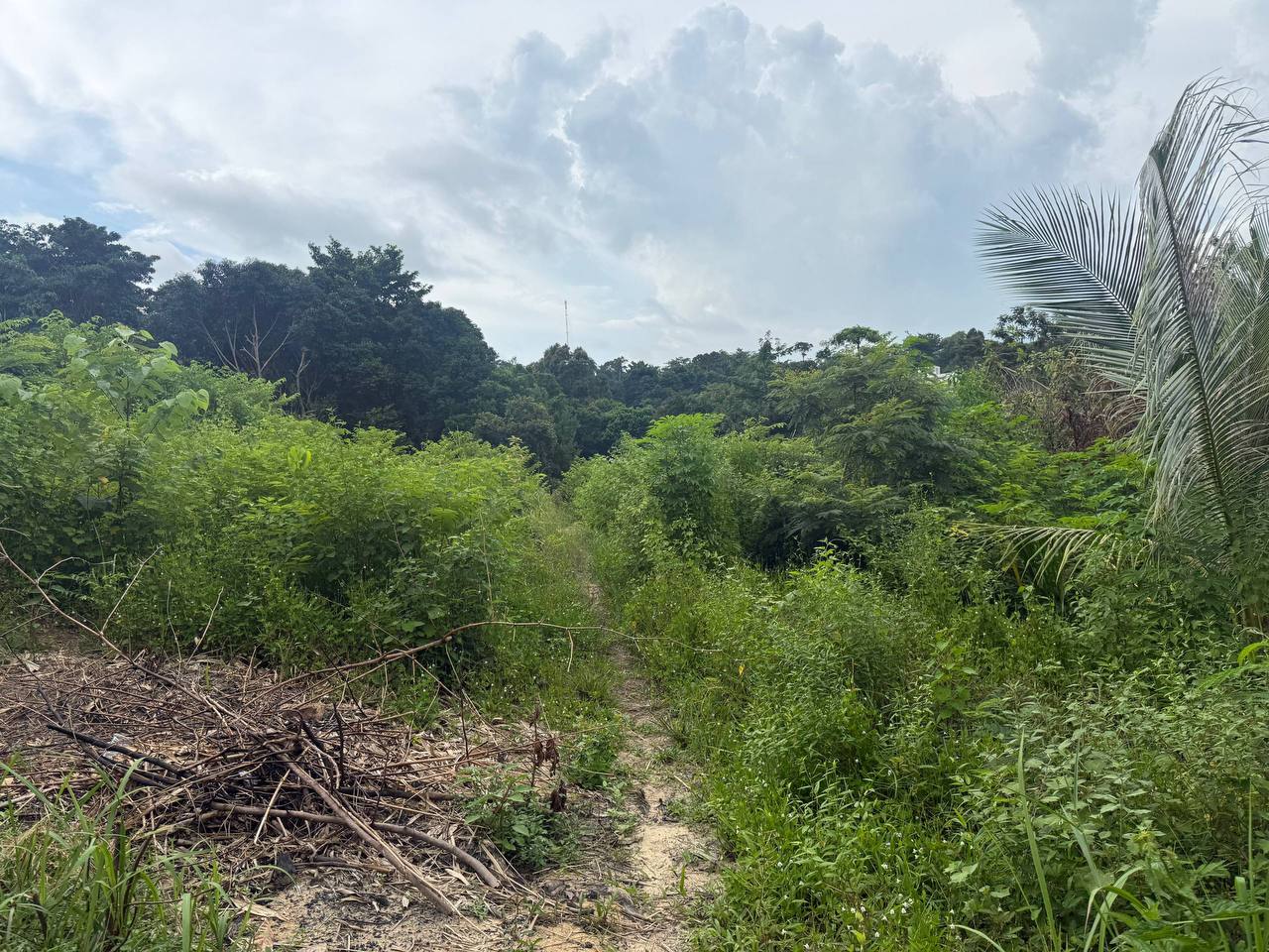 Hilltop Land Overlooking Koh Touch — photo 6