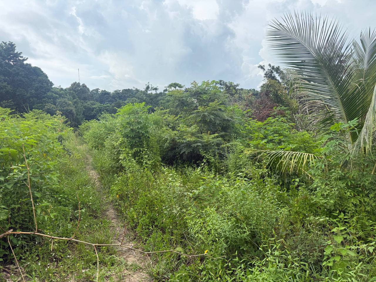 Hilltop Land Overlooking Koh Touch — photo 5