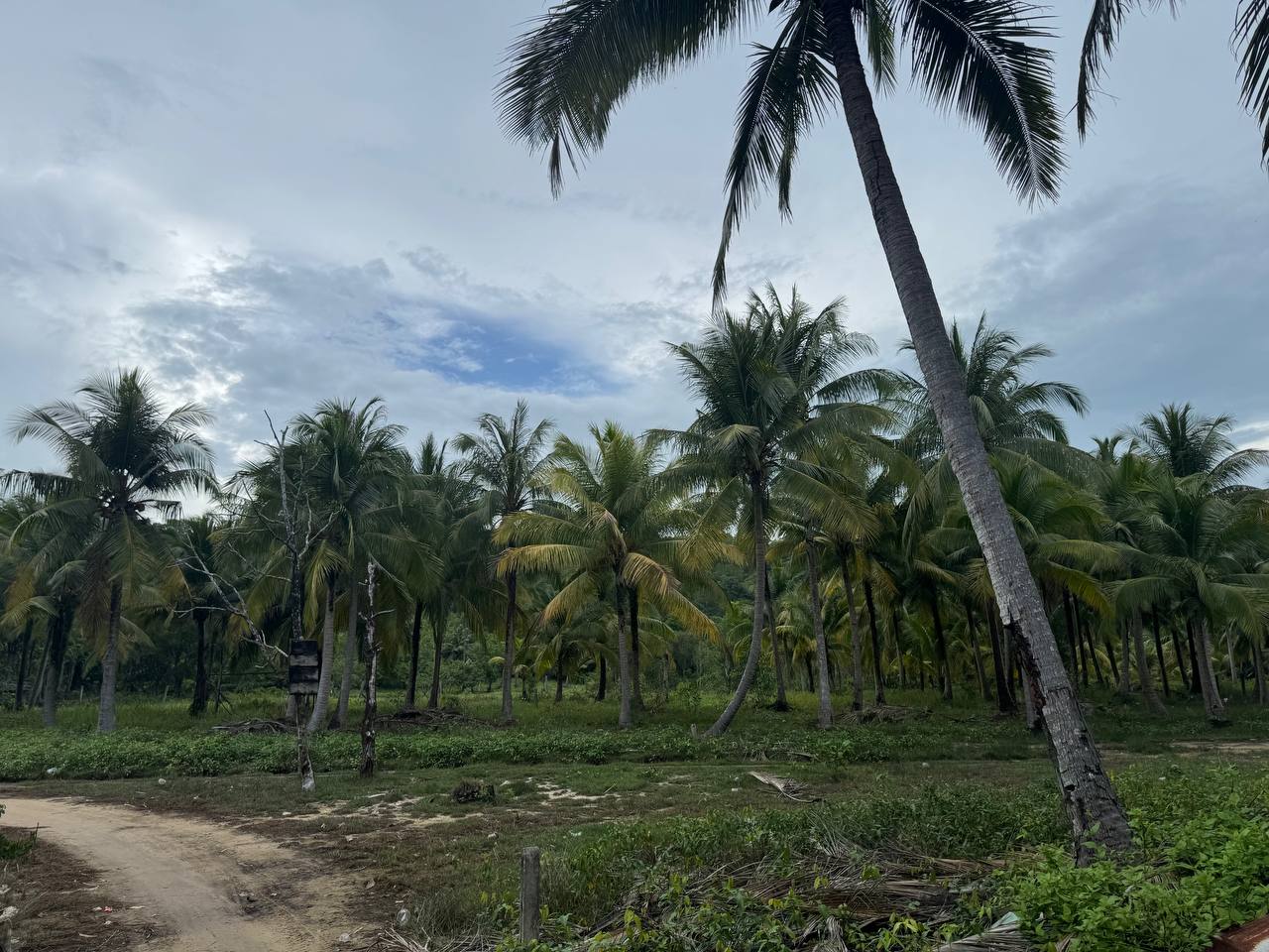 Hilltop Land Lease — Palm Beach — photo 5