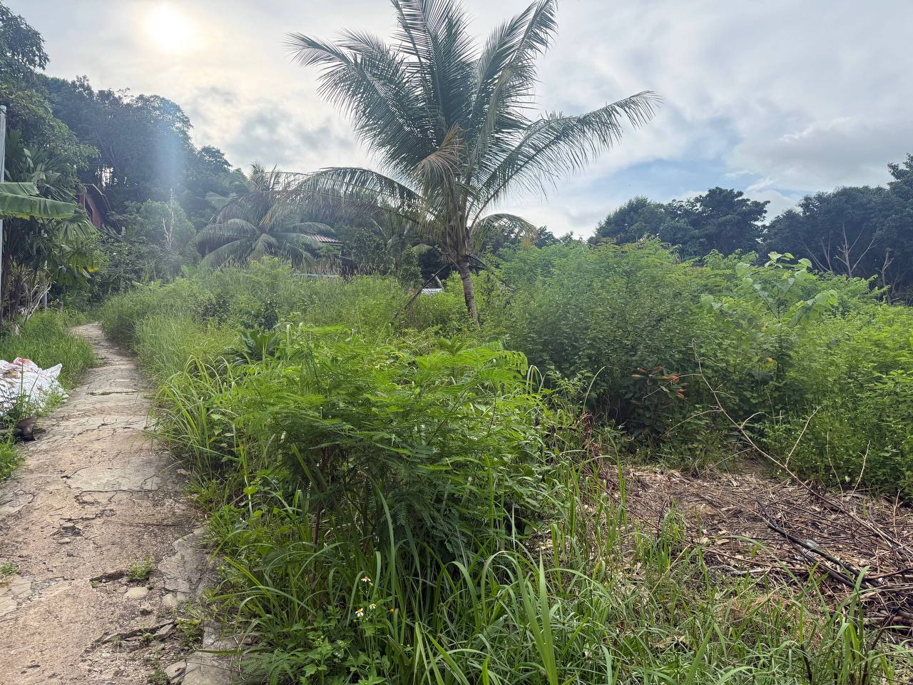Hilltop Land Overlooking Koh Touch — photo 4