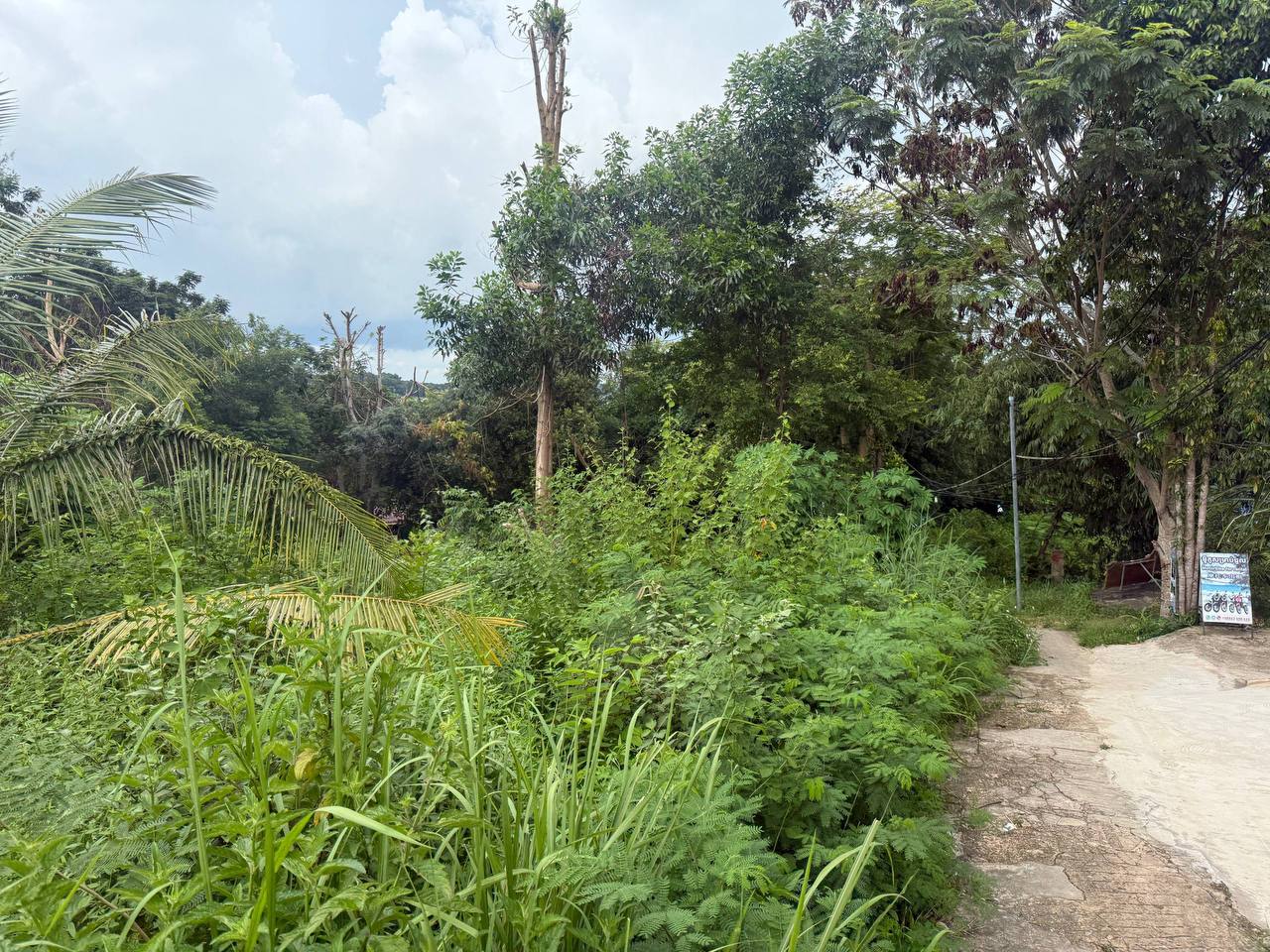 Hilltop Land Overlooking Koh Touch — photo 2