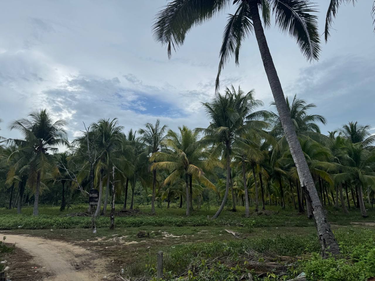 Hilltop Land Lease — Palm Beach — photo 4