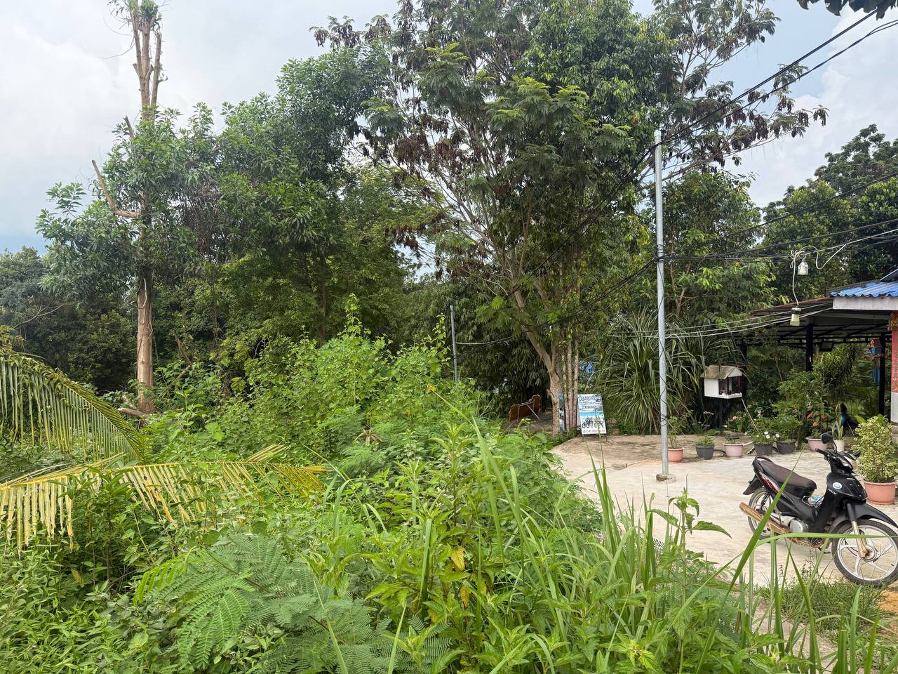 Hilltop Land Overlooking Koh Touch — photo 3
